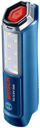 GLI12V-300N Professional